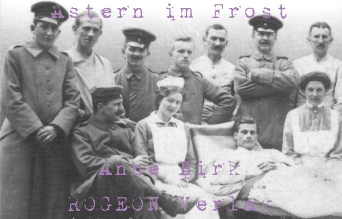 Anne-Birk-Astern-im-Frost-Roman-ROGEON-Verlag-eBook-Titelbild