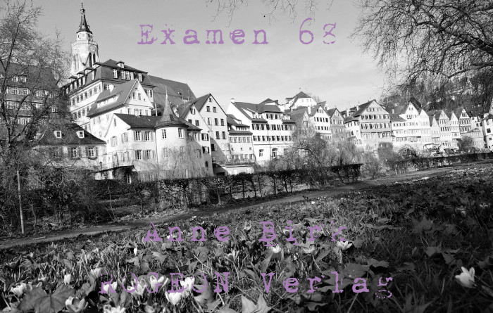 Anne-Birk-Examen-68-Erzaehlung-ROGEON-Verlag-eBook-Titelbild